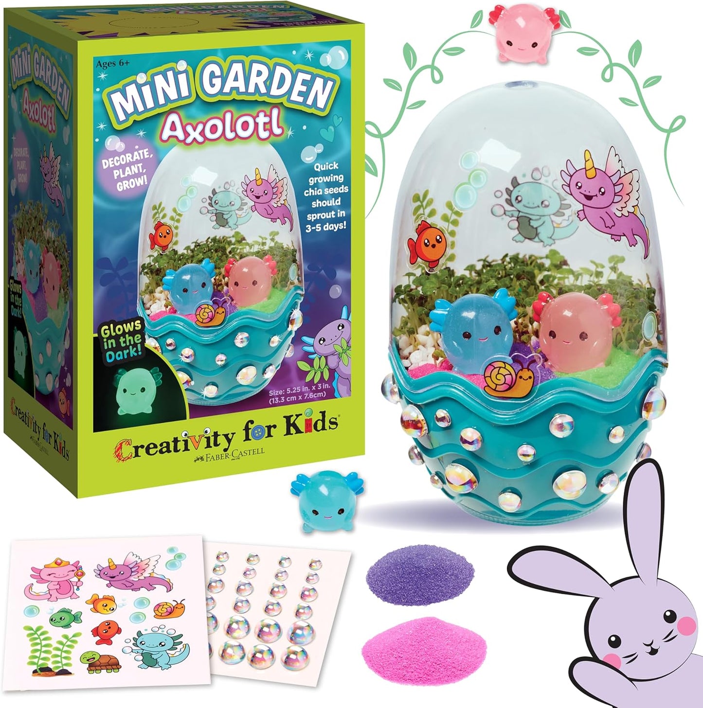 Mini Garden Terrarium Kit