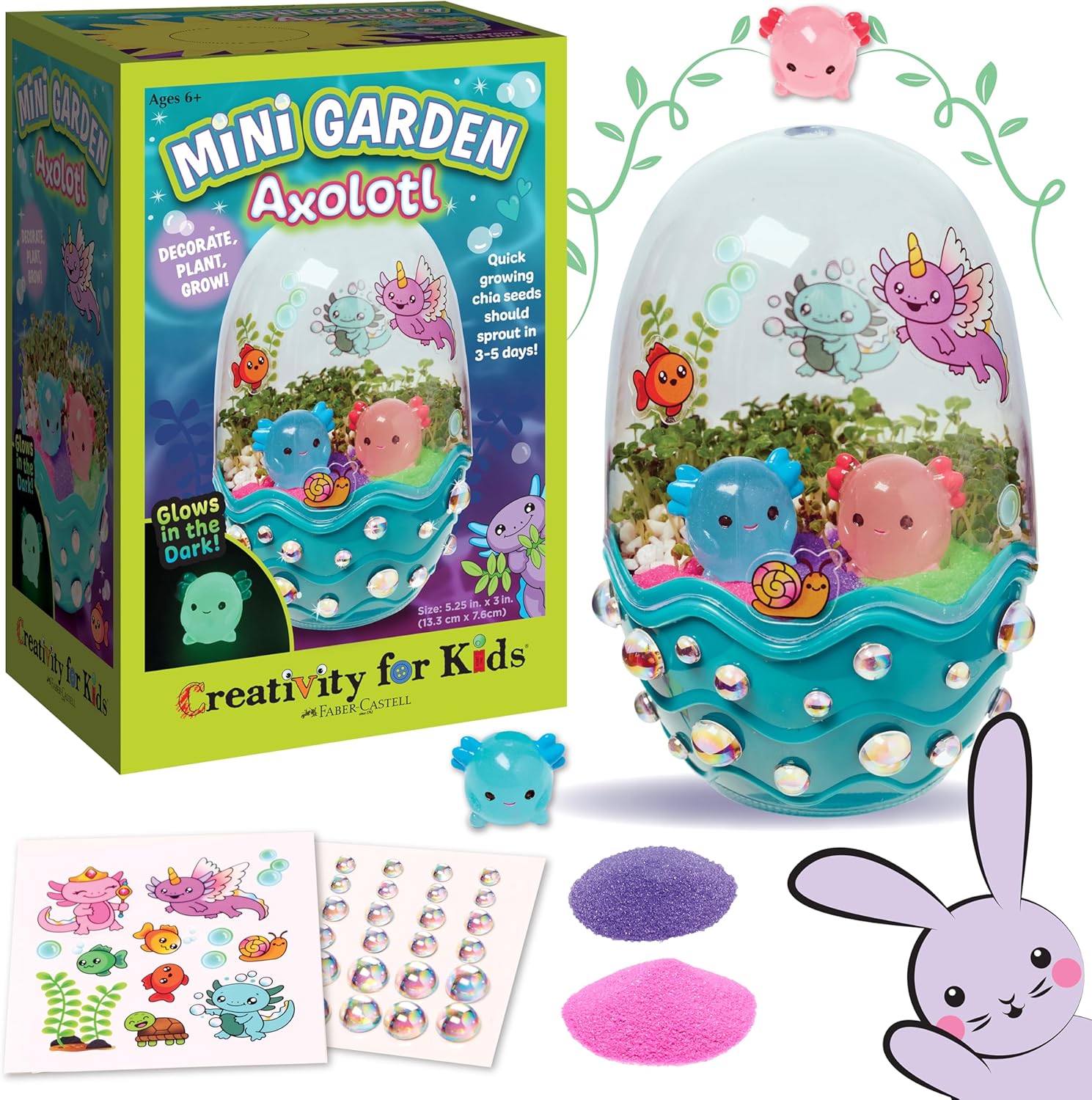 Mini Garden Terrarium Kit