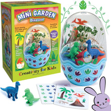 Mini Garden Terrarium Kit