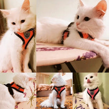 Adjustable cat harness for walking with soft secure vest design