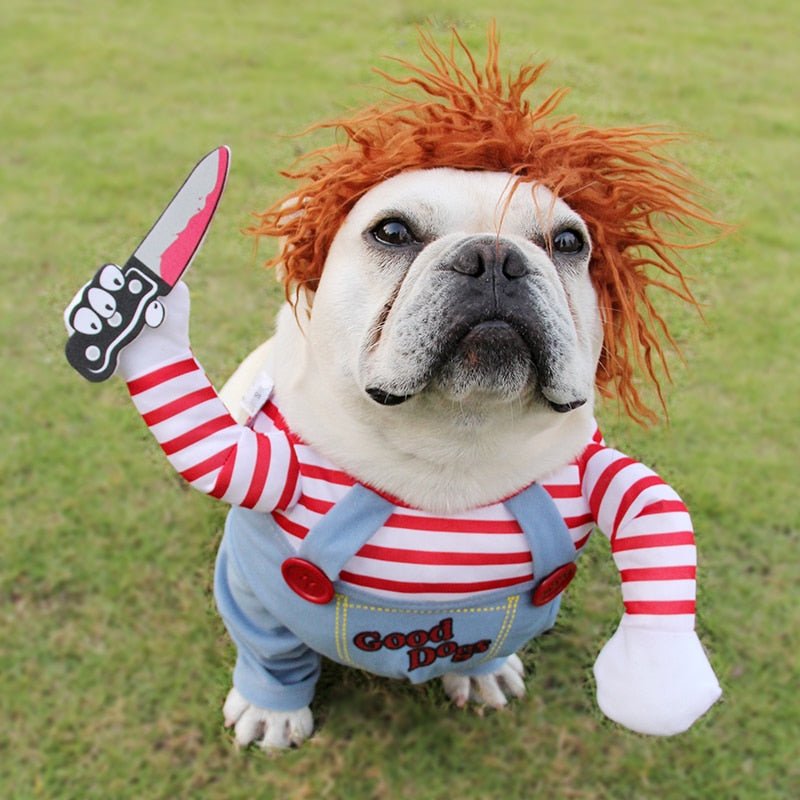 Adjustable dog cosplay