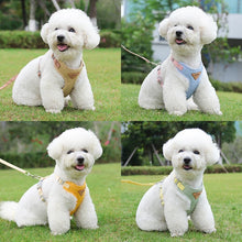 Adjustable soft puppy harness leash set for small dogs and training