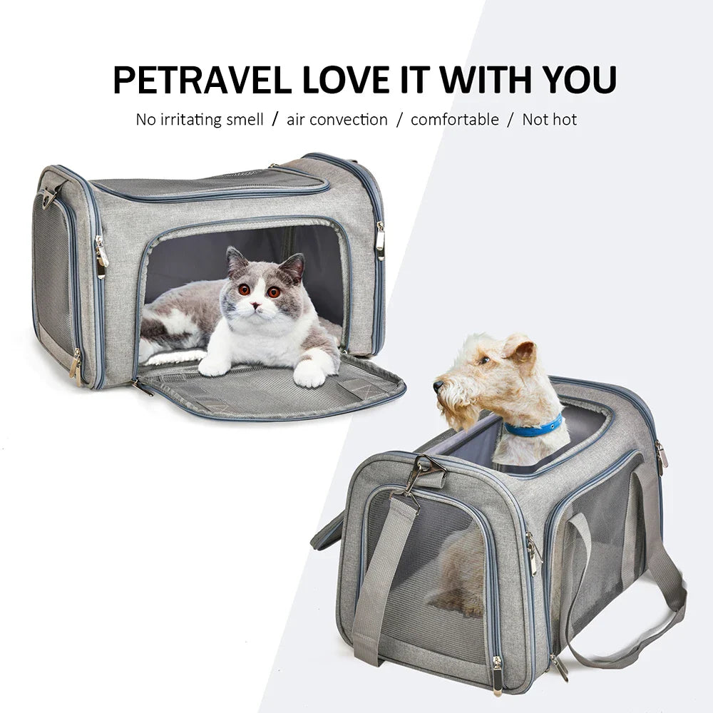 Airline approved pet travel bag for small dogs and cats

