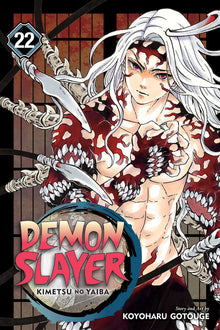 Anime graphic novel
