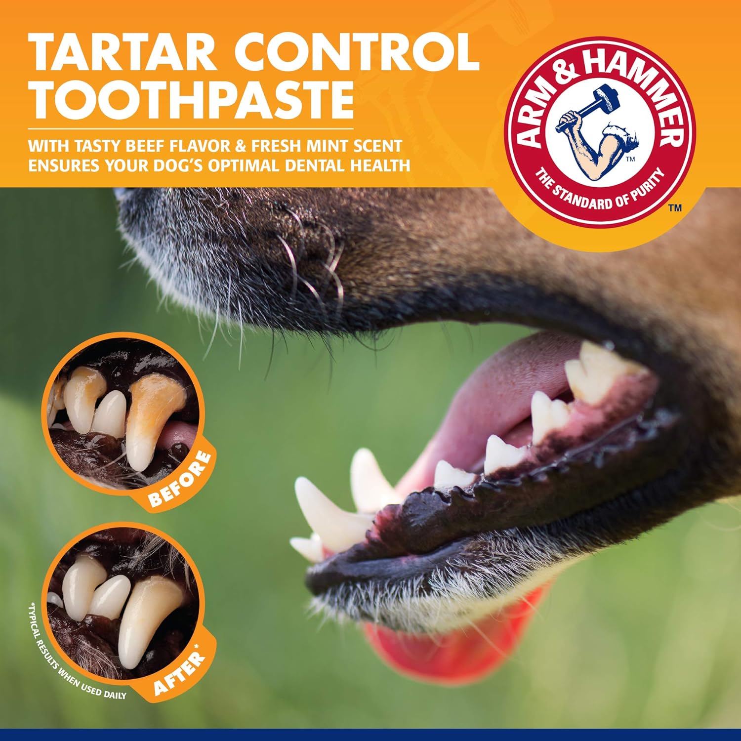 Arm & Hammer for Pets