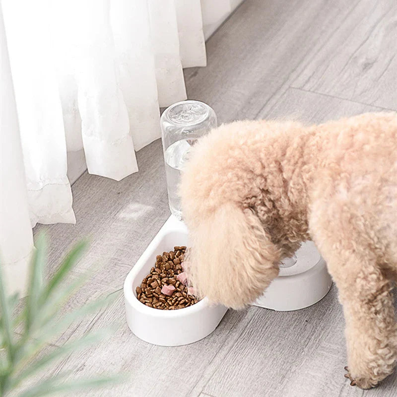 Automatic pet feeder and water dispenser for cats and dogs with smart feeding features