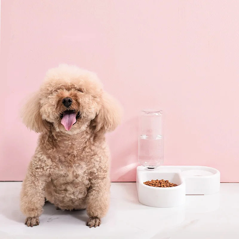 Automatic pet feeder and water dispenser for cats and dogs with smart feeding features