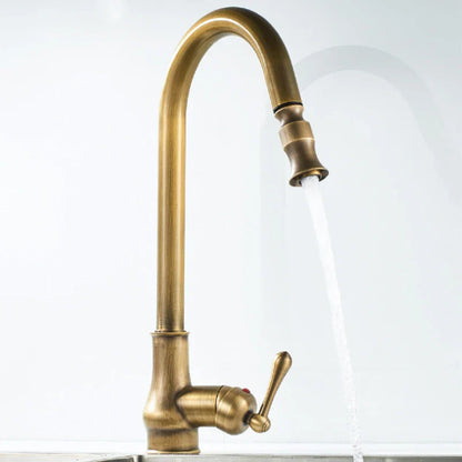 Brass pull out kitchen tap with single lever and extendable sprayer