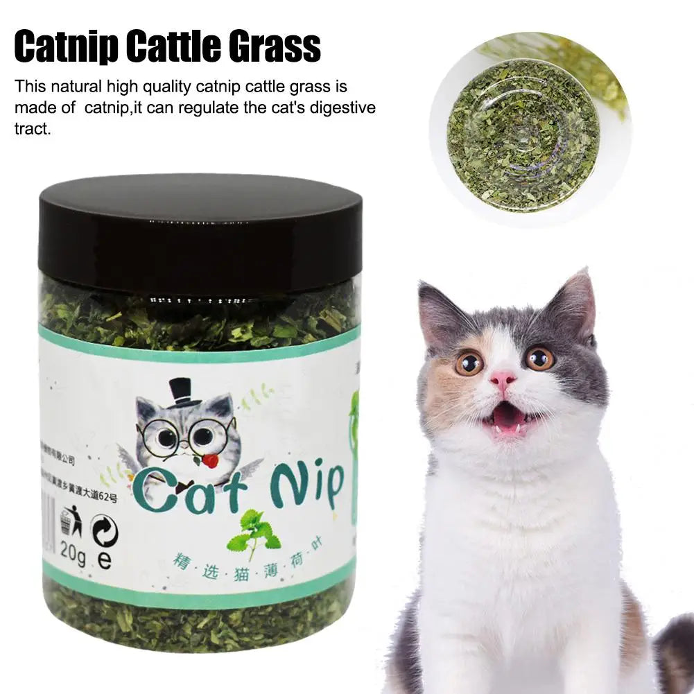 Catnip Cattle Grass Toy – Natural Chewable Toy for Cats' Dental Health