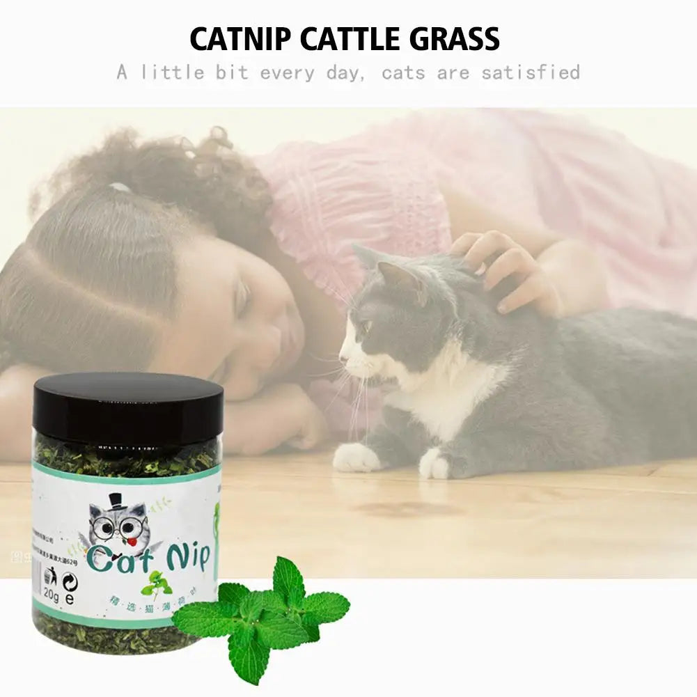 Catnip Cattle Grass Toy – Natural Chewable Toy for Cats' Dental Health