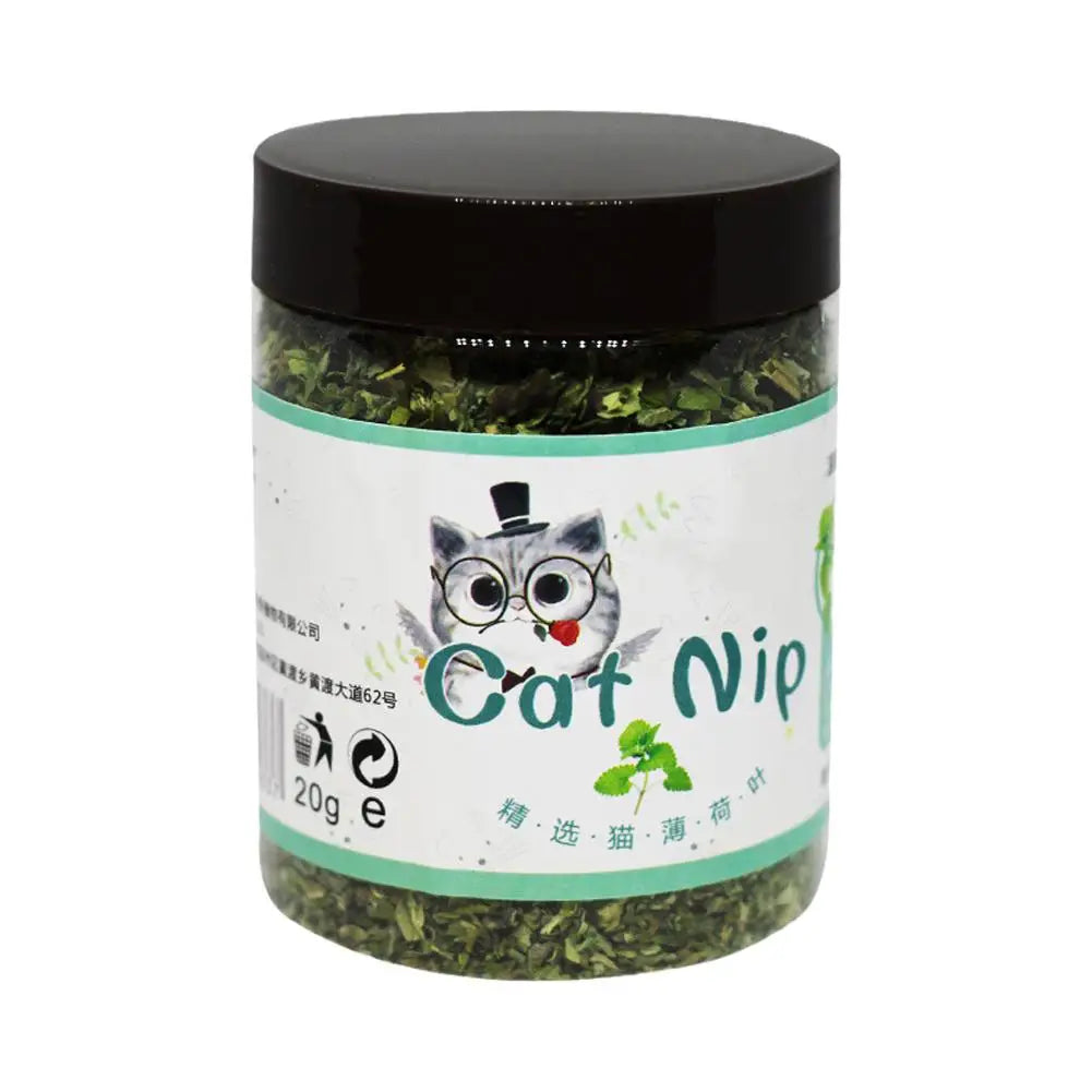 Catnip Cattle Grass Toy – Natural Chewable Toy for Cats' Dental Health