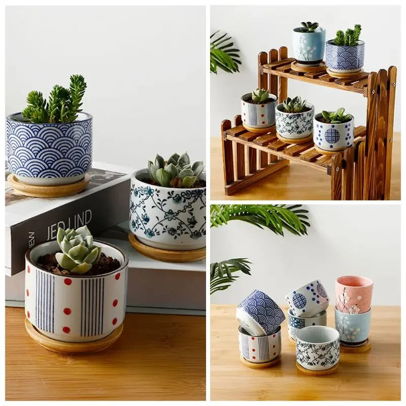 Ceramic succulent planter bamboo tray for stylish indoor plant décor