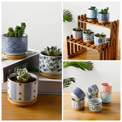 Ceramic succulent planter bamboo tray for stylish indoor plant décor