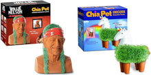 Chia Pet Bob Ross with Seed Pack
