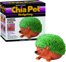 Chia Pet Elephant with Seed Pack