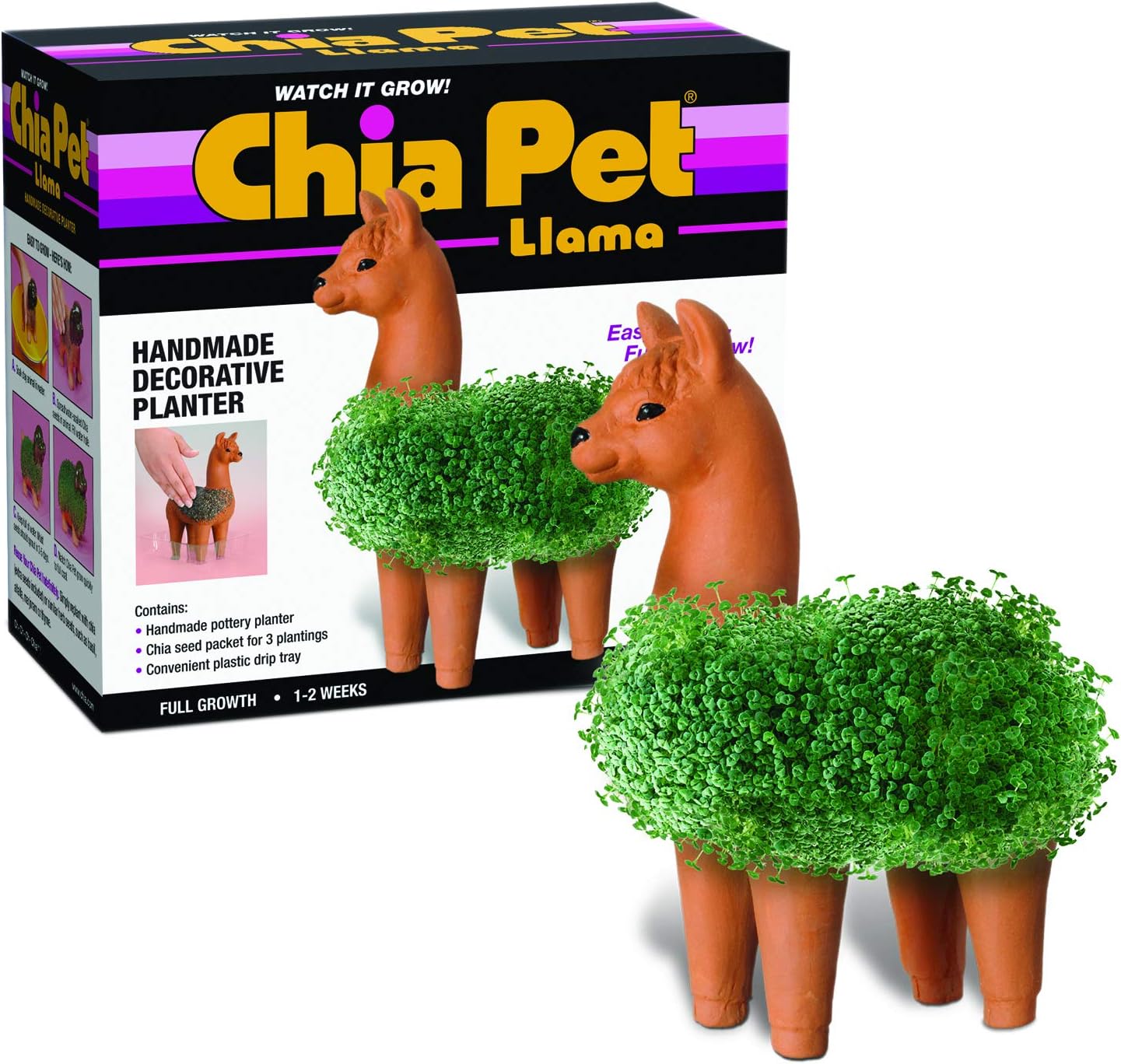 Chia Pet Elephant with Seed Pack