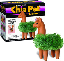 Chia Pet Elephant with Seed Pack