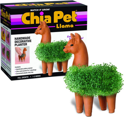 Chia Pet Elephant with Seed Pack