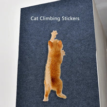Clear self adhesive cat scratch protector applied to a couch corner for pet safety