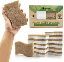 Coconut Scrubber Sponge
