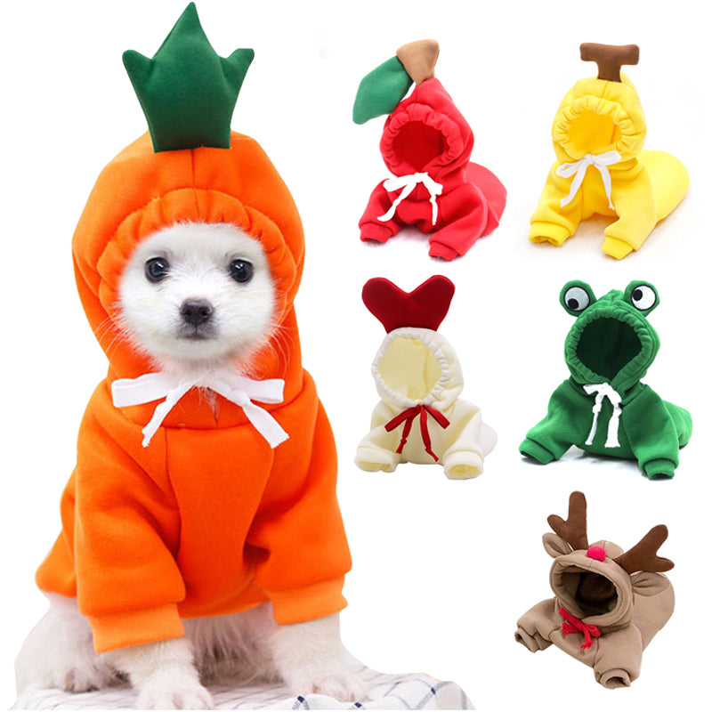 Cute dog hoodie