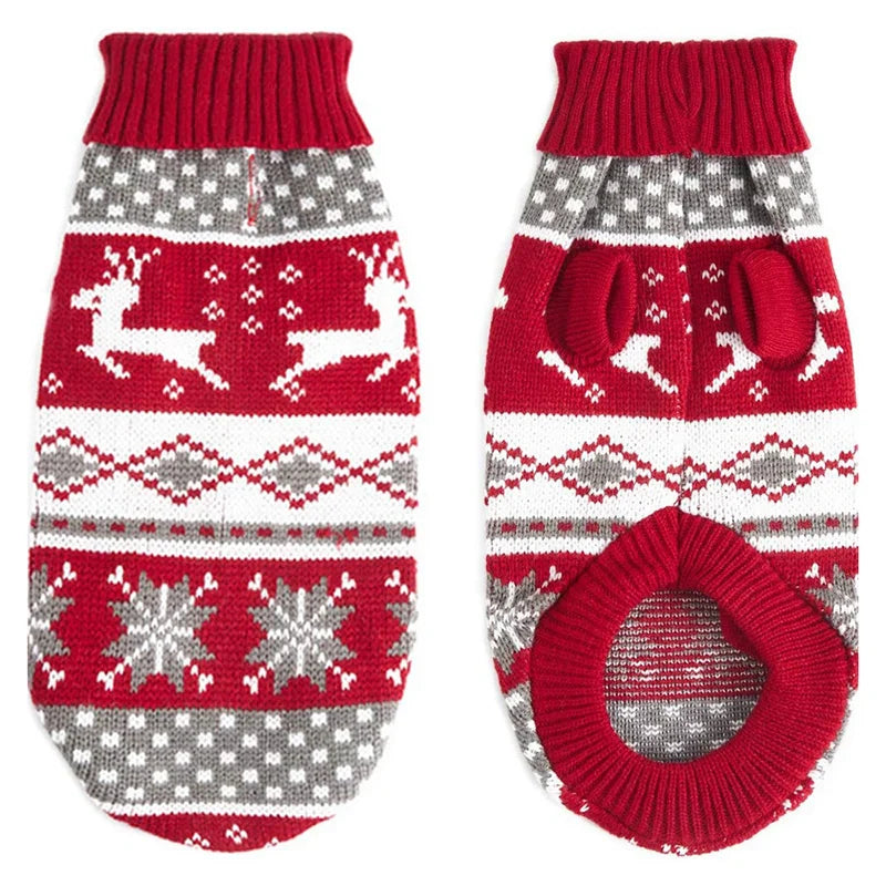 Cute dog wearing a cozy knitted dog sweater in warm colors