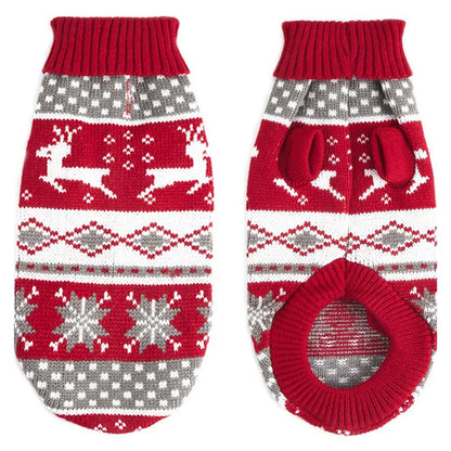 Cute dog wearing a cozy knitted dog sweater in warm colors