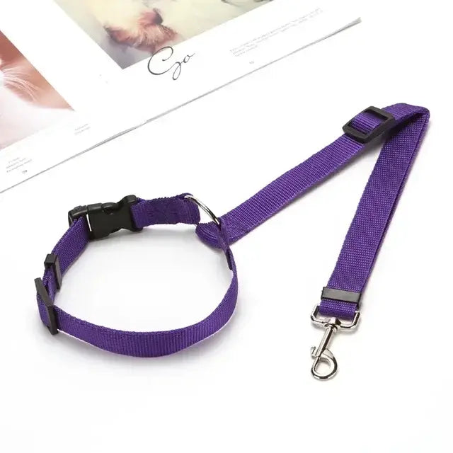 Pawtastic Headrest Safety Belt