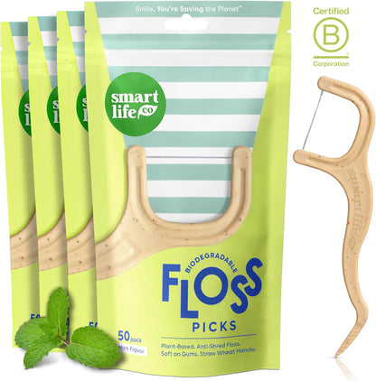 Dental Floss Picks