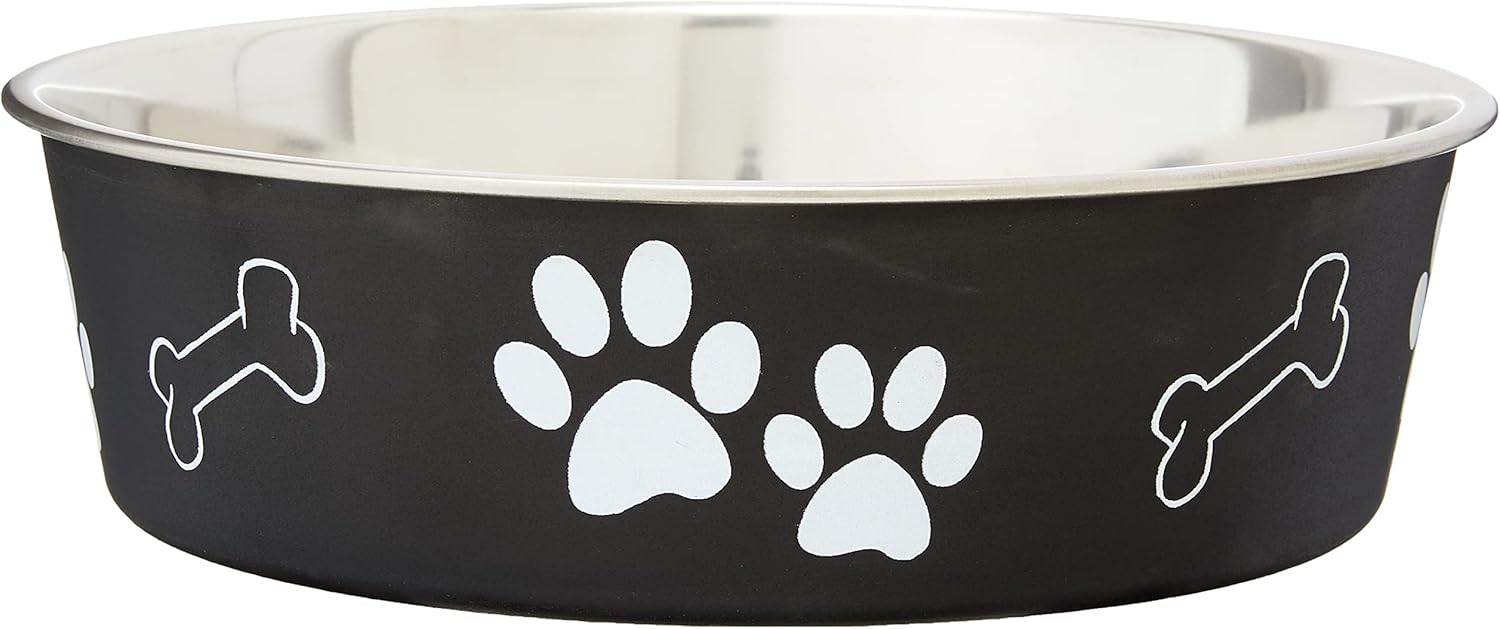 Dog Food Water Bowl