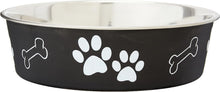 Dog Food Water Bowl
