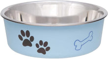Dog Food Water Bowl