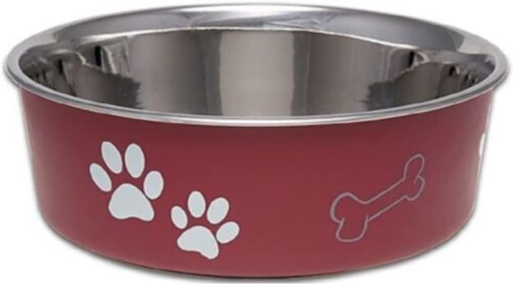 Dog Food Water Bowl