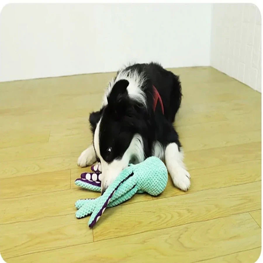 Dog playing with a soft plush octopus toy with squeaker