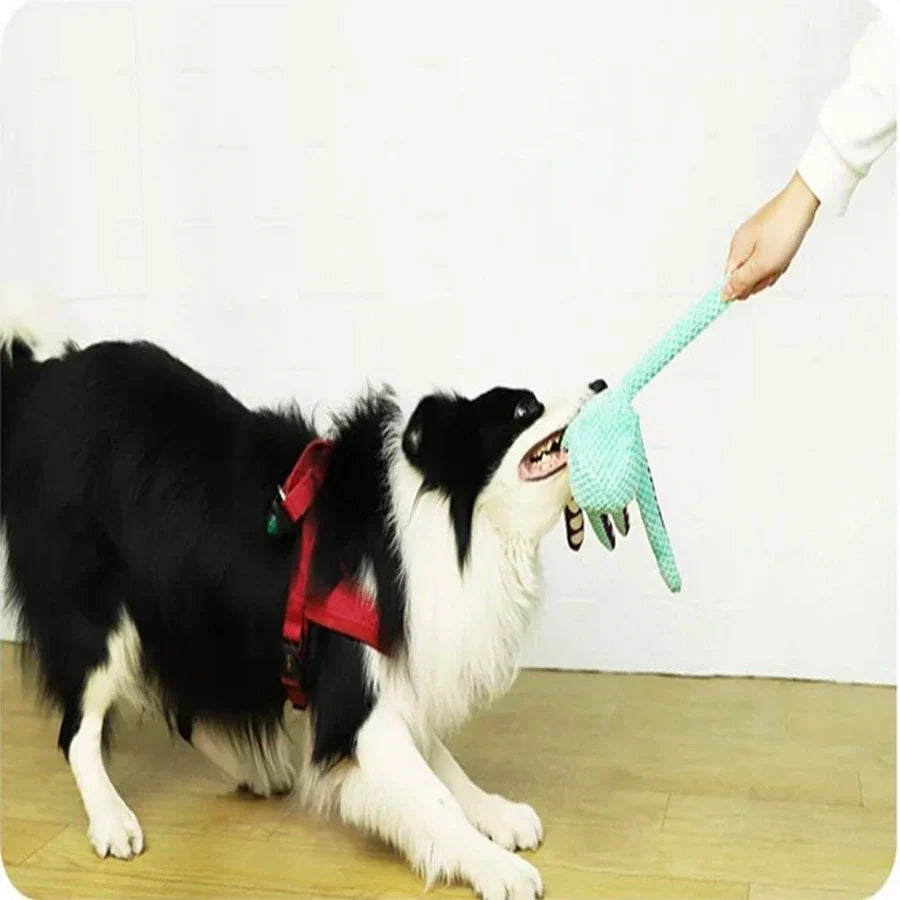 Dog playing with a soft plush octopus toy with squeaker