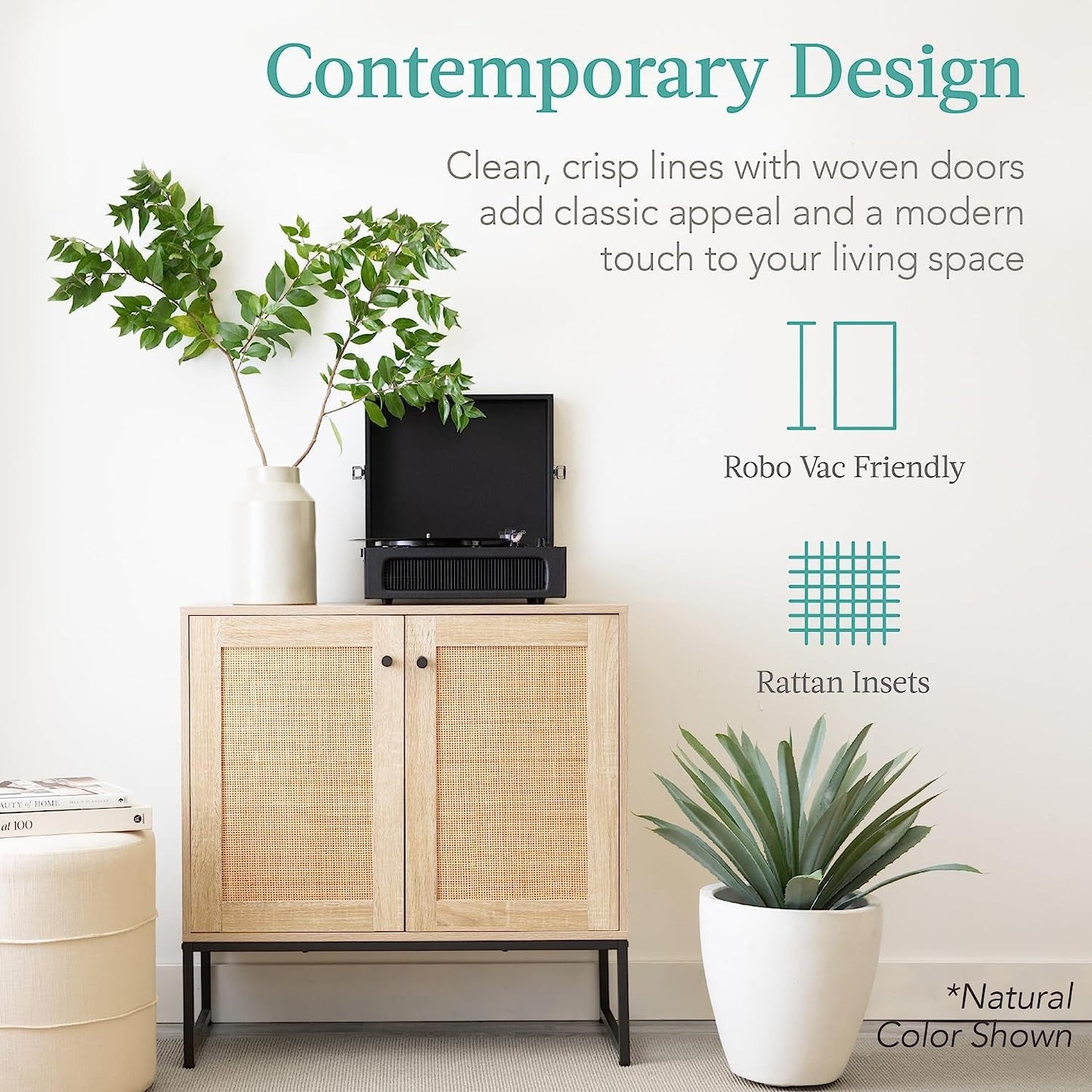 Door Rattan Cabinet