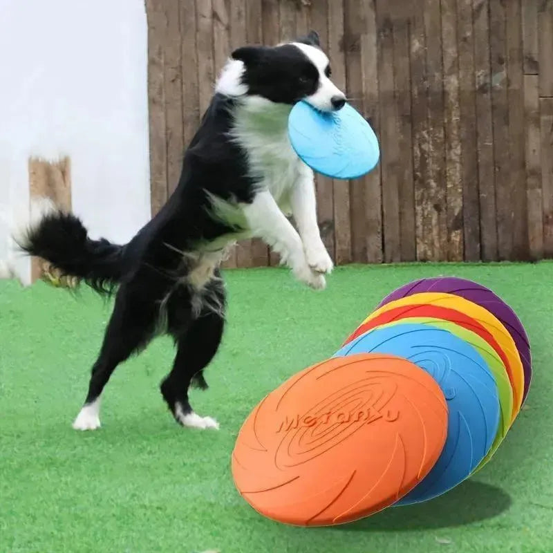 Durable silicone dog flying disc for active outdoor play