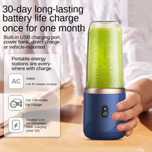 Electric Fruit Juicer