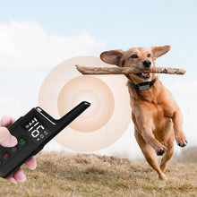 Electronic Training Collar