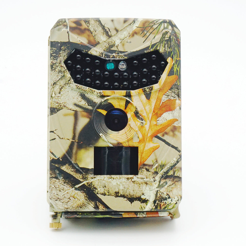 Forest trail camera