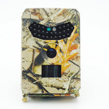 Forest trail camera