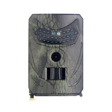 Forest trail camera