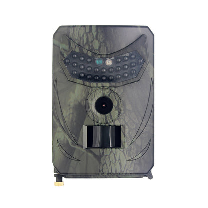 Forest trail camera