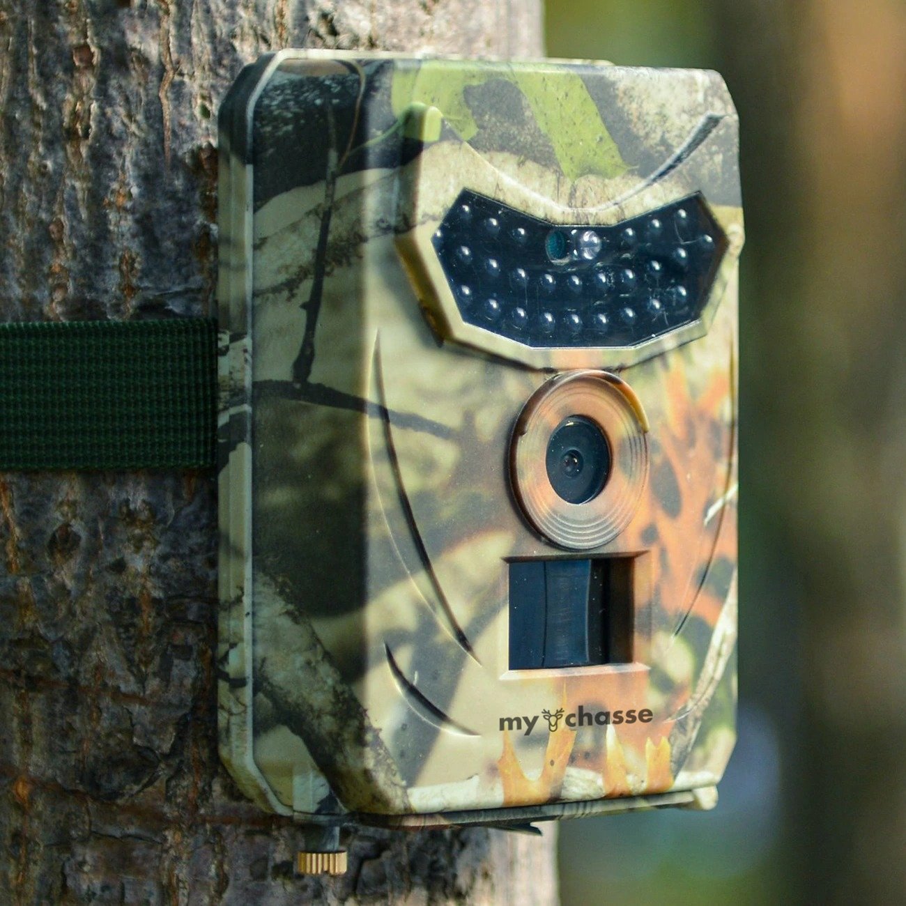 Forest trail camera