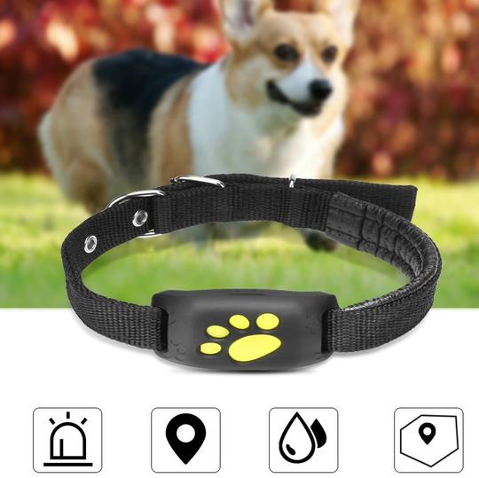 GPS collar tracker