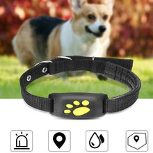 GPS collar tracker