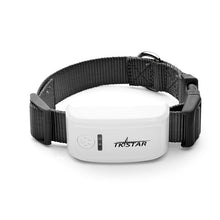 GPS pet tracker