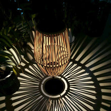 Garden accent light