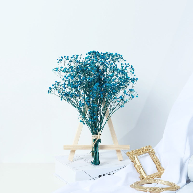 Gypsophila decor flowers