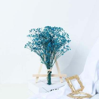 Gypsophila decor flowers
